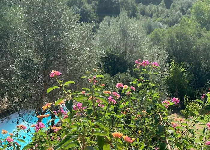 Penzion A Vadina - Hebergements De Charme Avec Piscine & Spa, Porticcio Porticcio (Corsica)