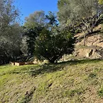 Konukevi A Vadina - Hebergements De Charme Avec Piscine & Spa, Porticcio