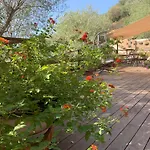 A Vadina - Hebergements De Charme Avec Piscine & Spa, Porticcio 4*