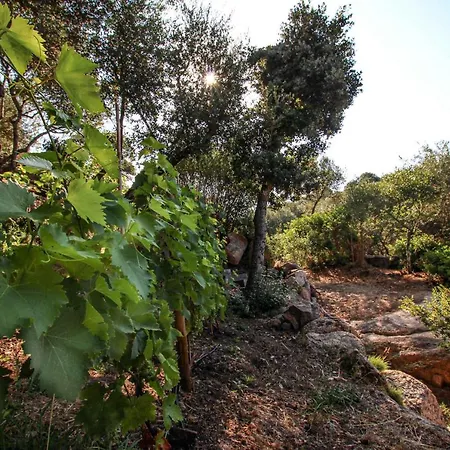 D'hotes A Vadina Pensionat