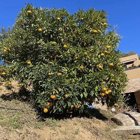 D'hotes A Vadina Pensionat 4*