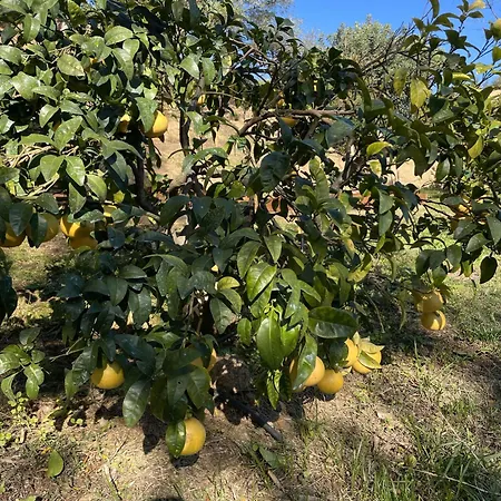 Vendégház D'hotes A Vadina 4*