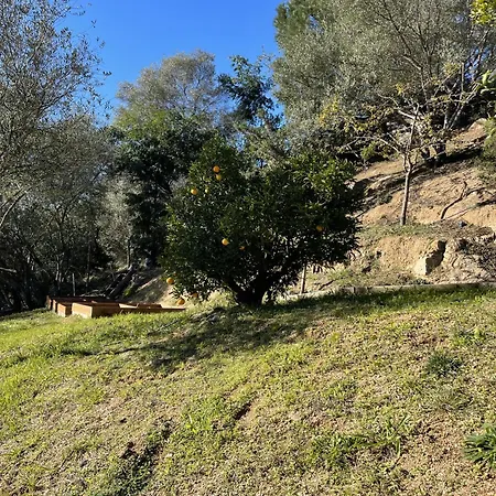 Vendégház D'hotes A Vadina