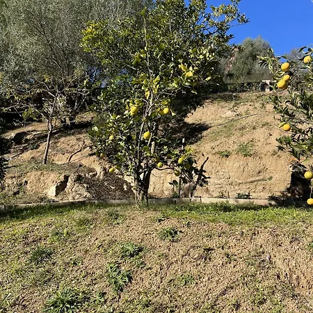 Vendégház D'hotes A Vadina Porticcio