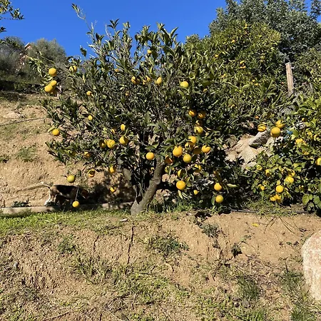D'hotes A Vadina Vendégház