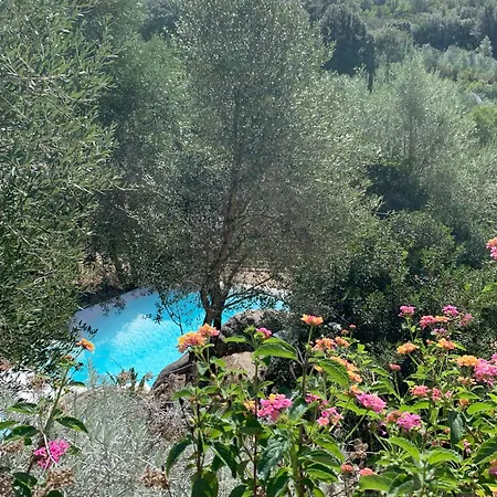 D'hotes A Vadina Porticcio Guest house *