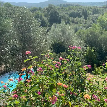 Guest house D'hotes A Vadina Porticcio (Corsica)
