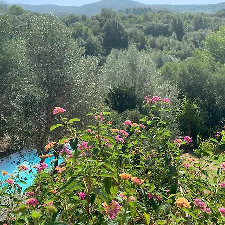 Pensionat D'hotes A Vadina Porticcio (Corsica)
