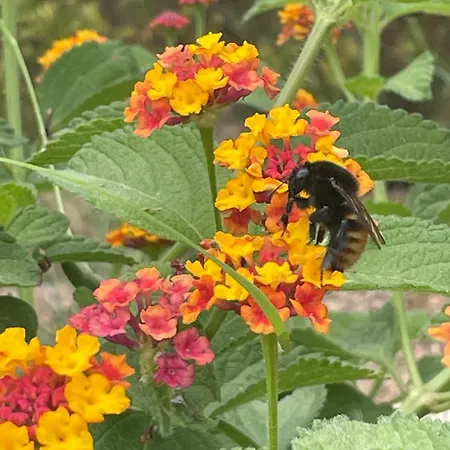 D'hotes A Vadina Vendégház 4*