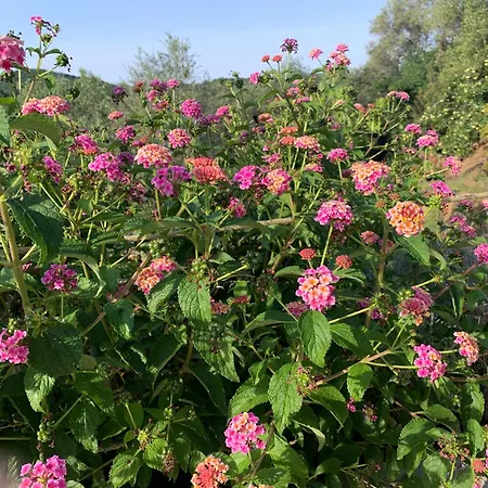 D'hotes A Vadina Vendégház 4*