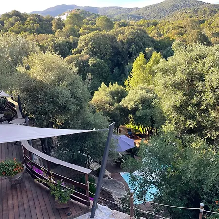D'hotes A Vadina Porticcio Guest house *