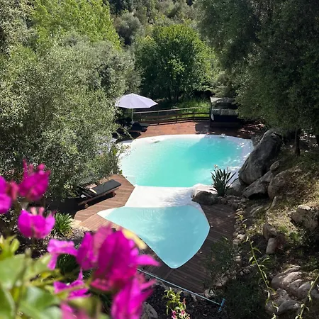 Pensionat D'hotes A Vadina