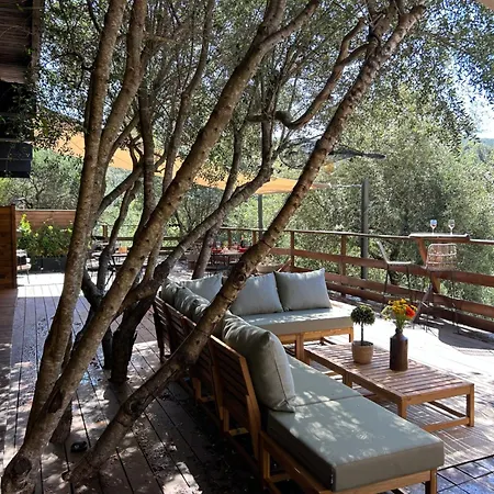 Pensionat D'hotes A Vadina Porticcio (Corsica)