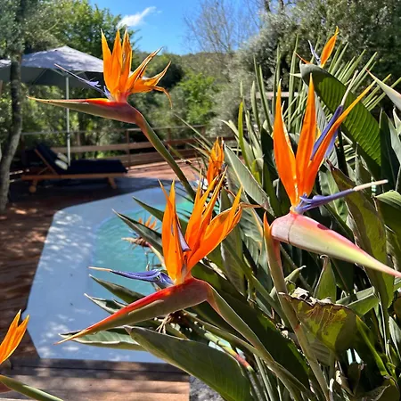 A Vadina Et De Charme 4* Porticcio (Corsica)