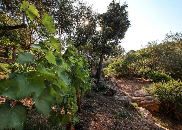 D'hôtes A Vadina Maison d'hôtes