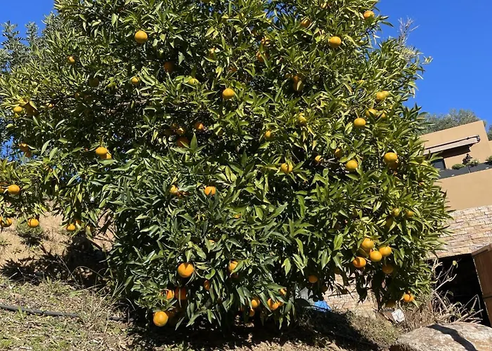 A Vadina Et De Charme Guest house 4*