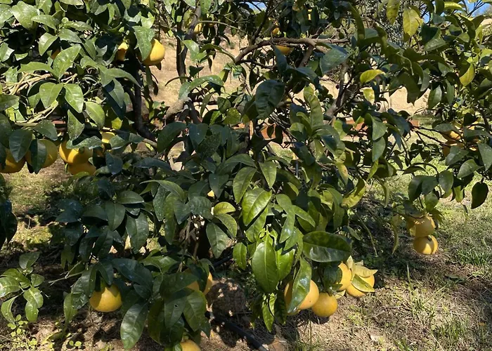 Maison d'hôtes D'hôtes A Vadina 4*