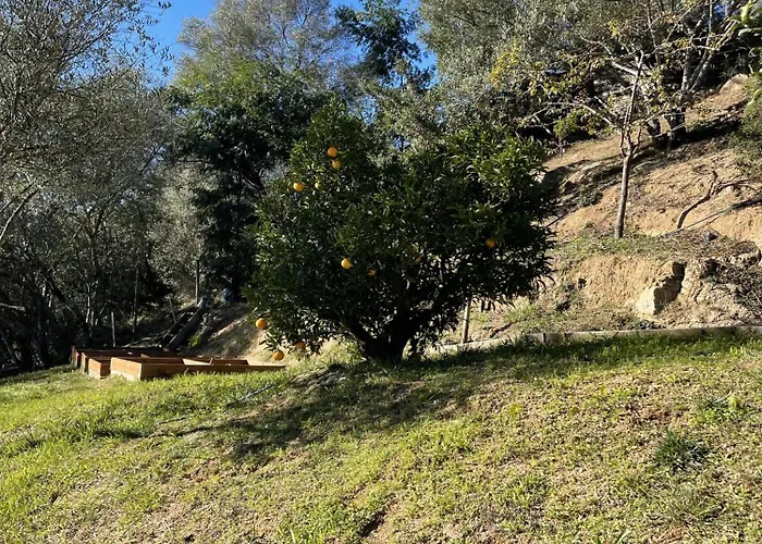 Maison d'hôtes D'hôtes A Vadina