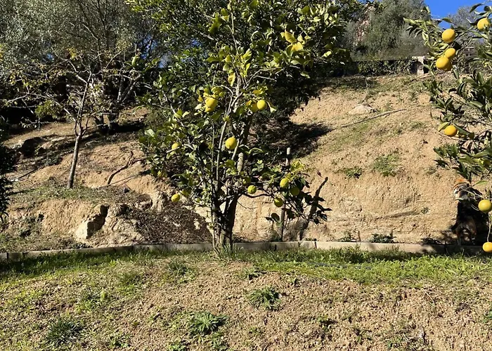 Guest house A Vadina Et De Charme Porticcio (Corsica)
