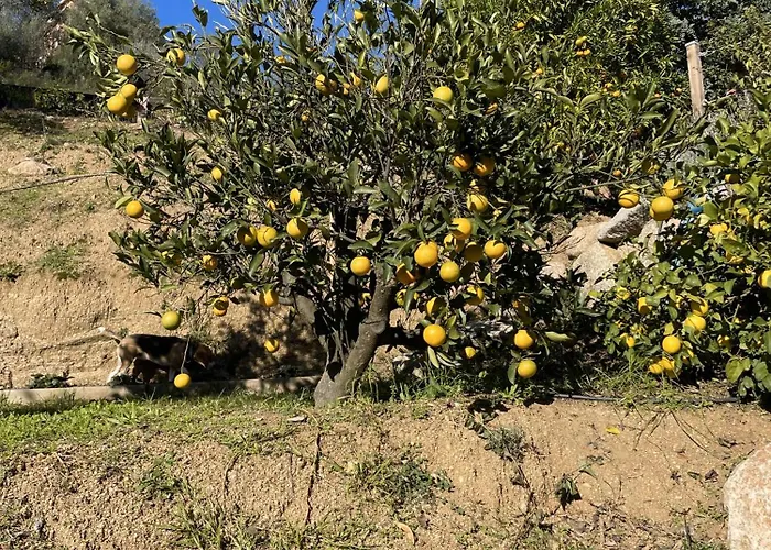 A Vadina Et De Charme Guest house