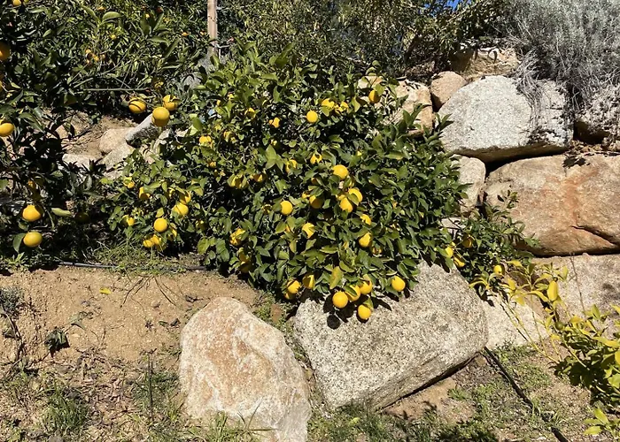 D'hôtes A Vadina 4*