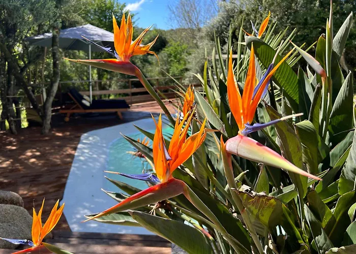 A Vadina Et De Charme 4* Porticcio (Corsica)